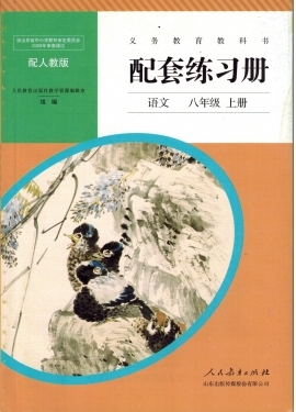 初中配套練習(xí)冊(cè)